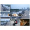 Cast iron railing