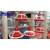 Ground feed poultry equipment for ground feeding chicken broiler farm