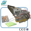Egg Tray Production Line