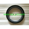 China Supplier AW4068 OIL SEAL