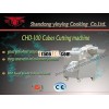 CHD100 cubes cutting machine