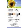 Solar Tracker System