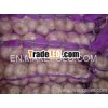 China white fresh garlic