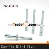 all steel large flange blind rivets