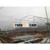 Galvanized Steel Tube Farm Commercial Green House