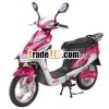 Electric Bicycle