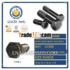 ASTM A325 Heavy Hex Structure Bolt