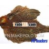 Decorative Horned pheasant Skin