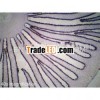 50 Mixed Microbiology Prepared Slides Set