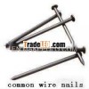 Gold Supplier of Common Nails