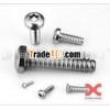 Torx Pan Head Screw