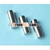 Stainless Steel Pin