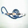 dog lead and collar