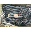 seafrozen fish for bait 4.22.2013