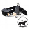 300m leash-walking training device