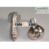 Tamper Proof Six-Lobe with PIN PAN Head Screw