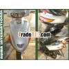 Used Japanese Scooters