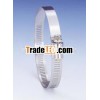 Hose Clamp ( hardware )