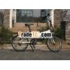 Foldable E-Bike (CB-20F04)