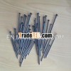 Common nail