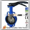 2 shaft butterfly valve