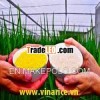 Jasmine rice 5% -100% broken - Sortexed - Good Quality