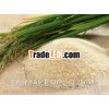 Long grain
