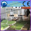 hot sale stainless steel automatic bean sprout growing machine
