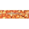 Popcorn kernels
