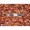 Organic Cacao