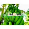 Fresh green Banana