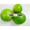 viet nam seedless lemon