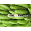 Vietnamese fresh green banana
