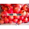 Fresh Pomegranates from India!
