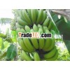 Good Green Banana Vietnamese