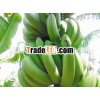 VN 2013 Fresh Banana