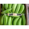GREEN FRESH PLANTAINS