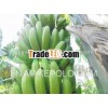 Quality Bananas A