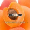 Fresh Apricot