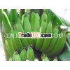 Good Fresh Cavendish banana