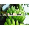Banana A