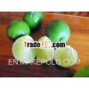 Fresh Seedless Lemon