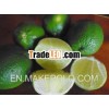 2013 Fresh Seedless Lime