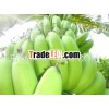 VN Fresh Banana