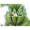 Grade 1 Bananas