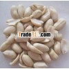 big size china blanched peanut kernels 25/29
