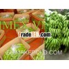 Good quality Vietnamese Cavendish banana