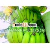 VN Grade A Banana