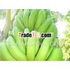 VN Class A Cavendish Banana