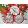FRESH AND FROZEN DRAGON FRUIT